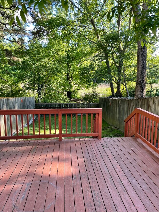 Backyard in Spring - 662 Biltmore Dr