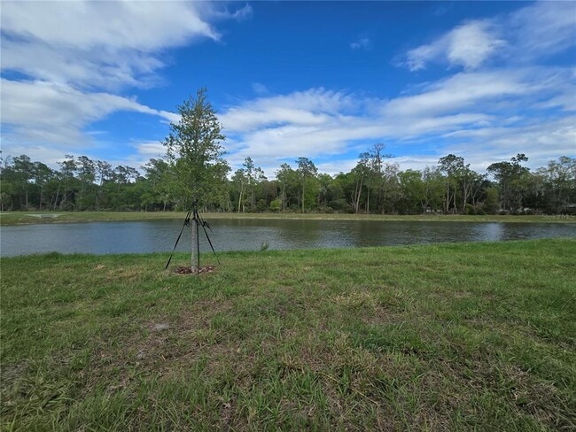 Building Photo - 8411 Madrid St