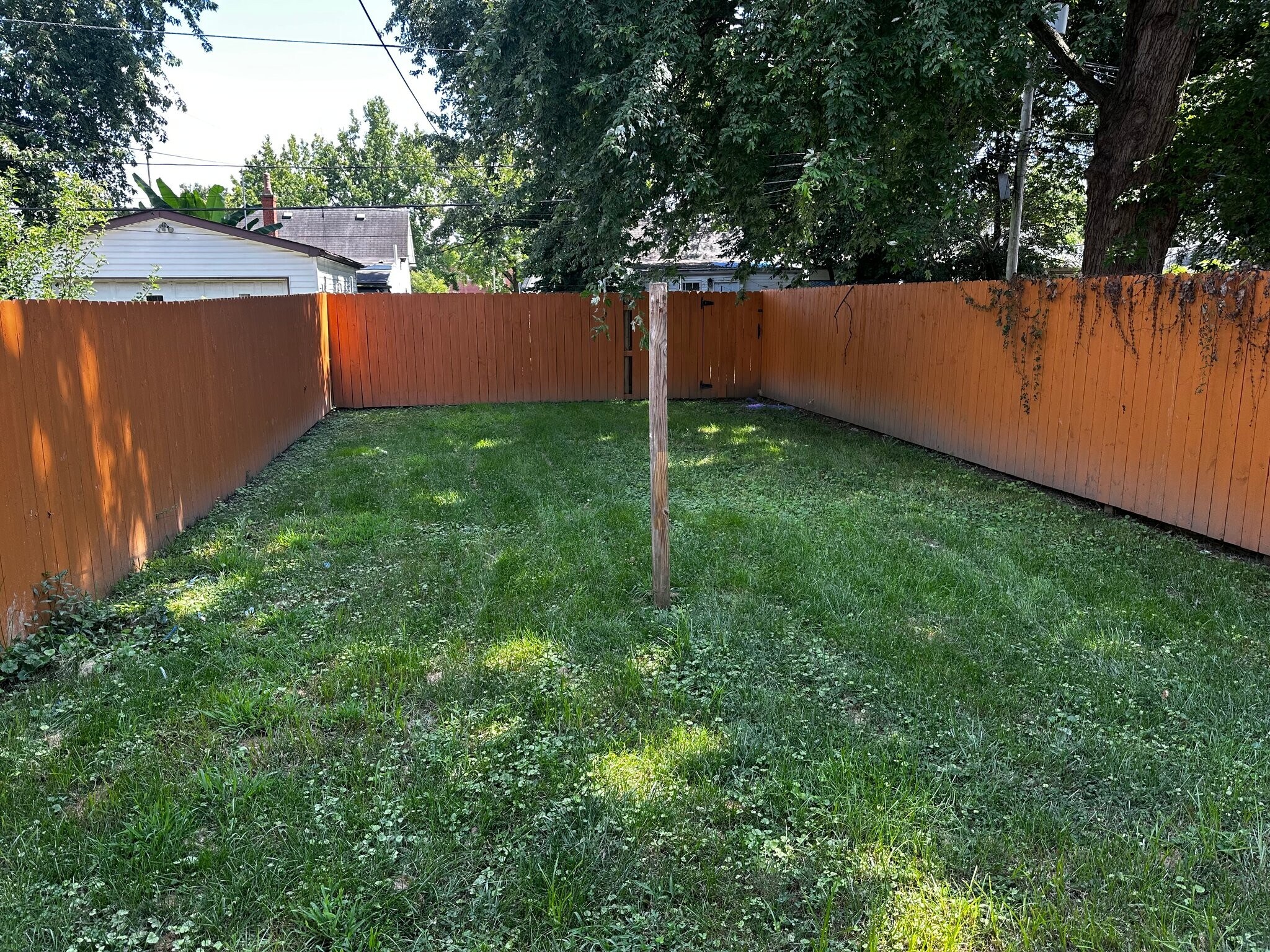 Building Photo - 1120 Ekin Ave