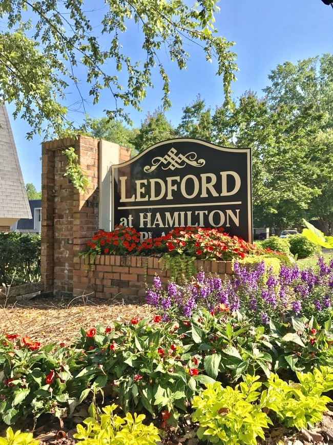Building Photo - Ledford at Hamilton Place
