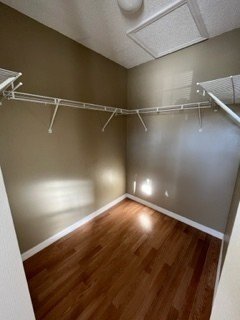 Building Photo - Perfect Peaceful Palm Coast Beauty 3/2 Available Today!
