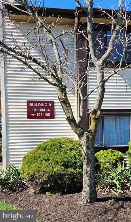 Building Photo - 103 Lucas Ln