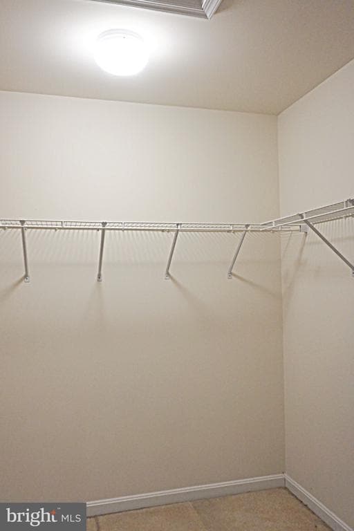 Building Photo - 11713 Cider Press Pl