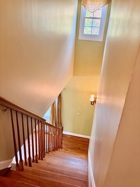 Building Photo - 9008 Doris Dr