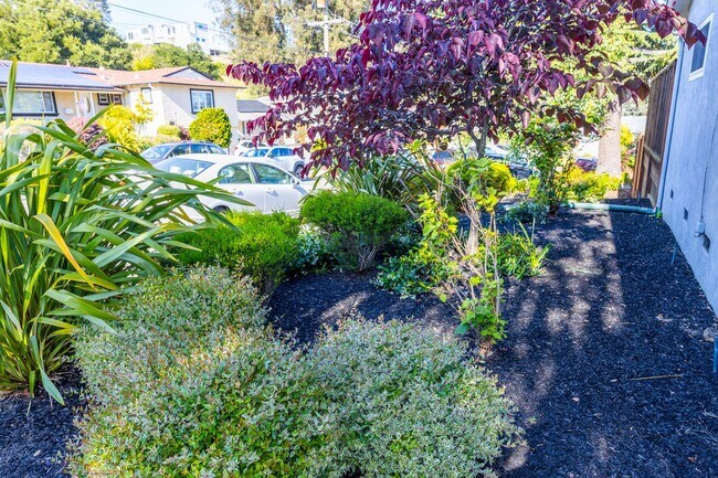 Building Photo - Amazing 4 bedroom home in one of Castro Valley's most desirable neighborhoods.  Owned solar!