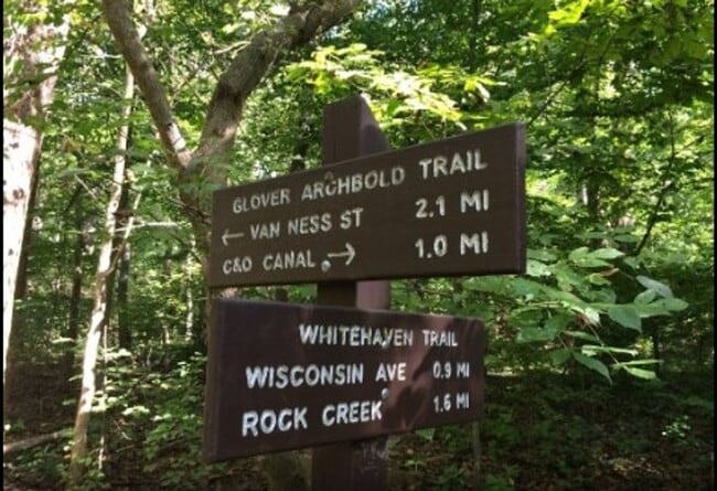 Building Photo - Glover Park Beauty with Parking