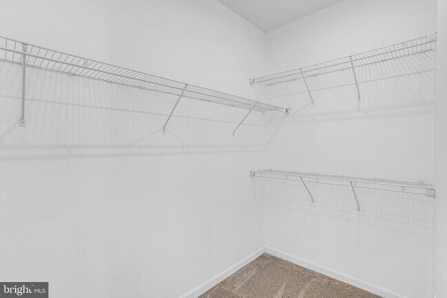 Building Photo - 12950 Blue Sky Pl