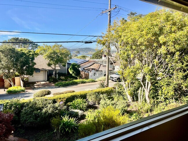 Building Photo - Charming and Accommodating Carmel-by-the-Sea Home coming soon!