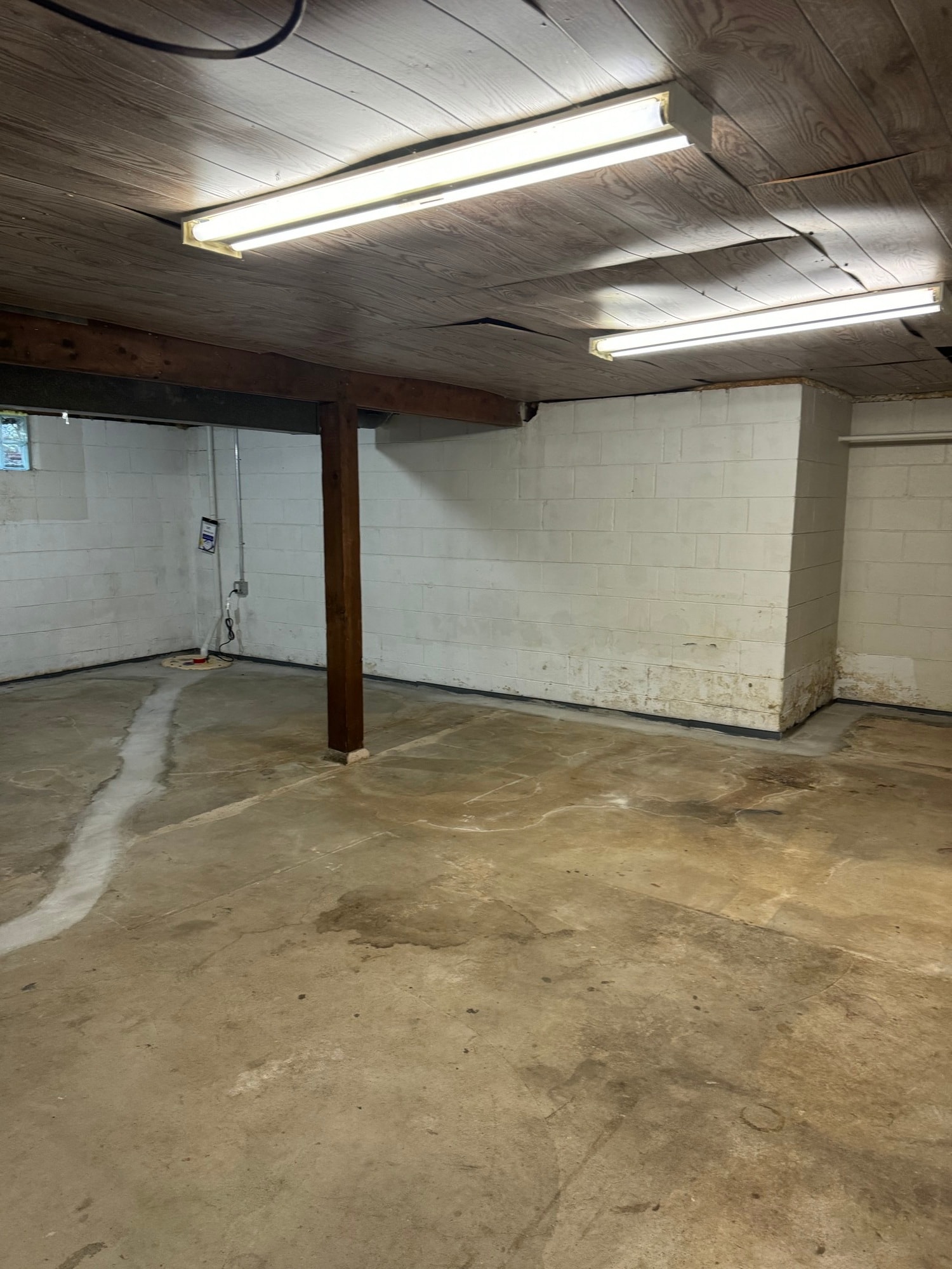 Building Photo - 3013 Blakeley Ave