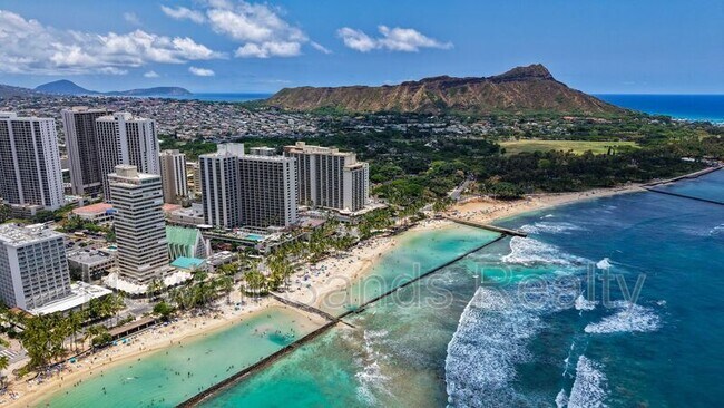 Building Photo - 2442 Kuhio Ave
