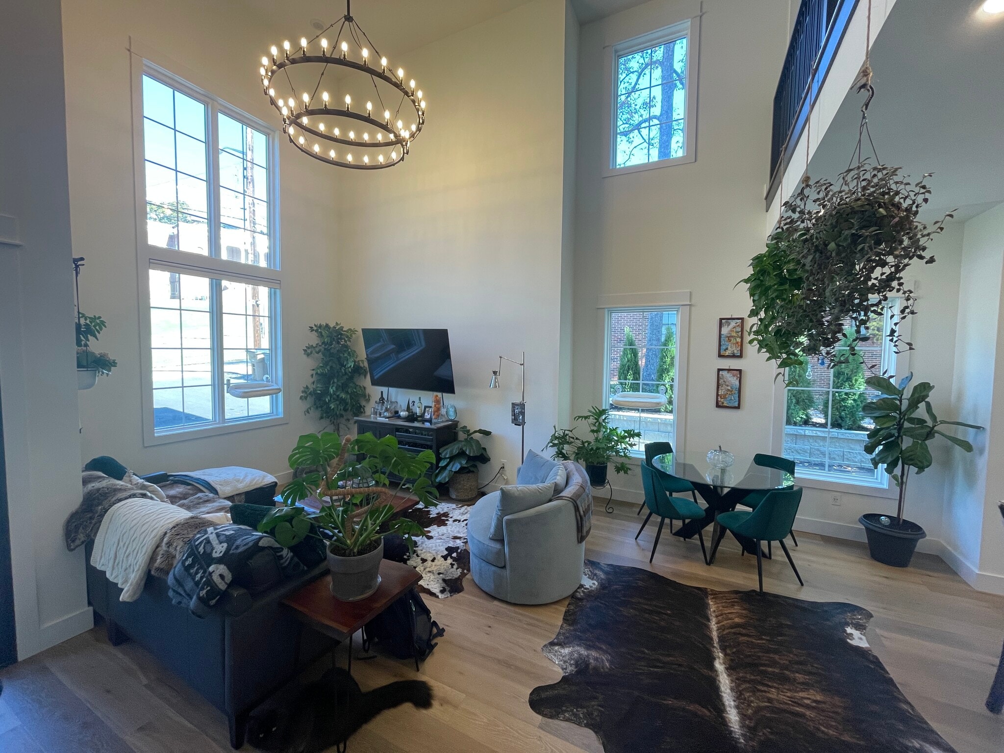 Huge open concept Living room with lots of light. - 2312 Island Home Ave