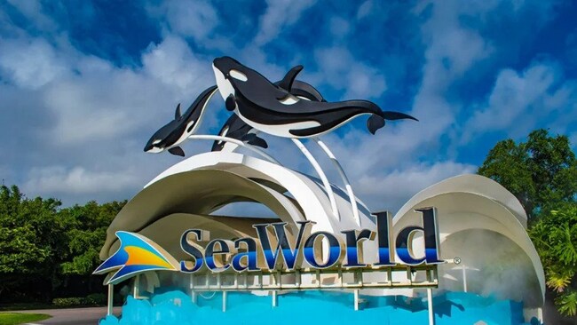 Visit the world-renowned SeaWorld San Diego, just 15 minutes away - 2304 E 14th St