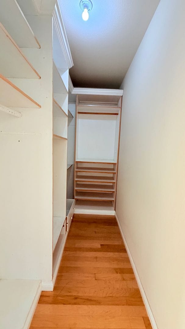 Building Photo - 738 Palmera Ct