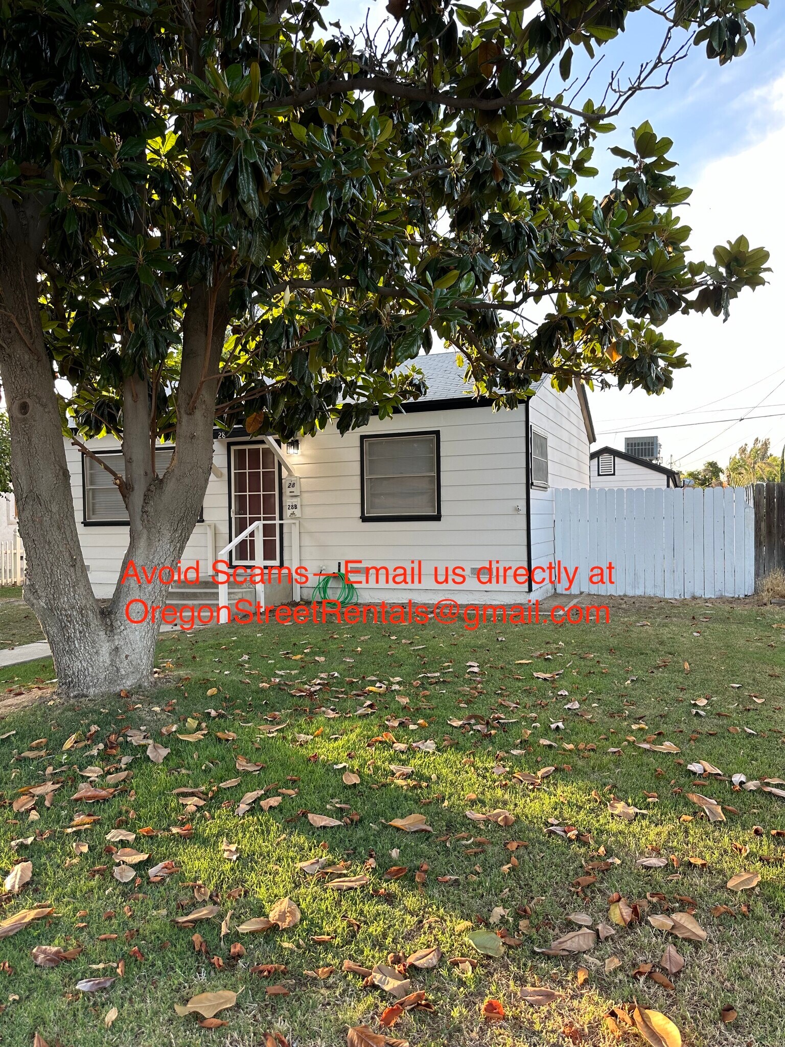 Fenced yard - 28 Oregon St