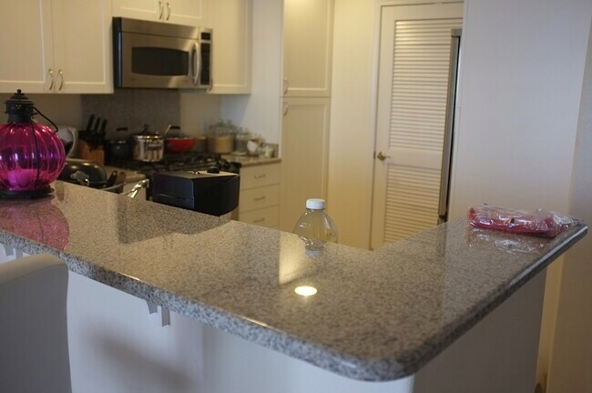 Kitchen - 3901 Lick Mill Blvd