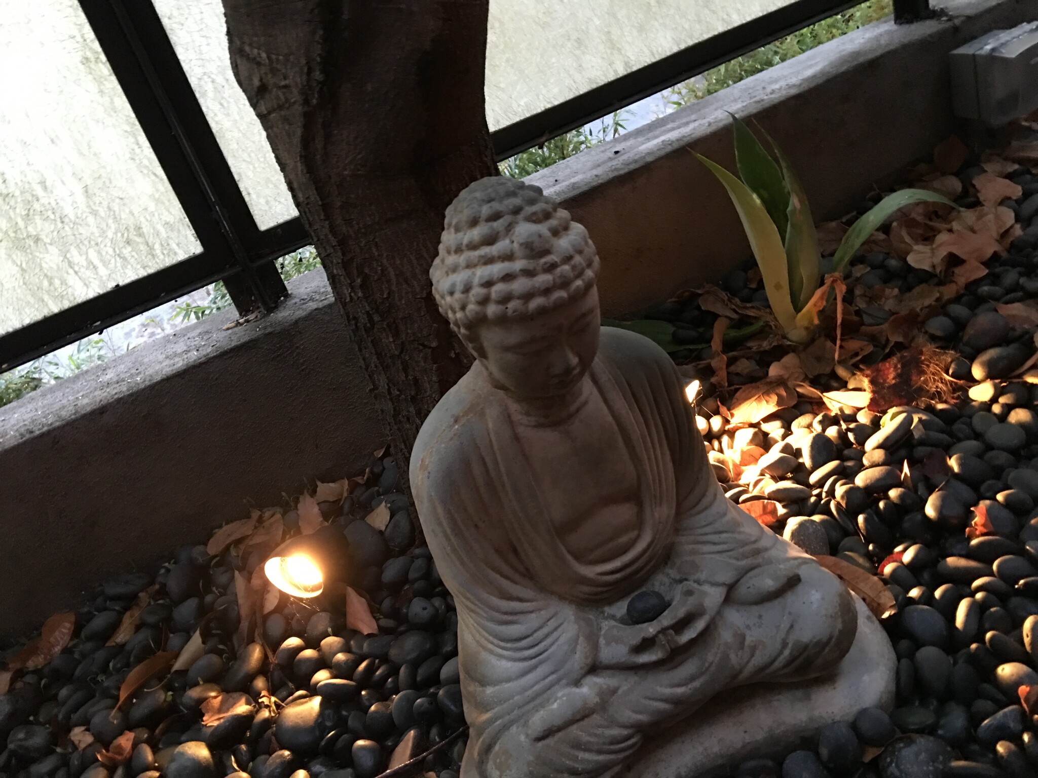 Backlit Buddha - 712 5th Ave