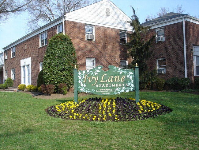 Building Photo - Ivy Lane Apartments