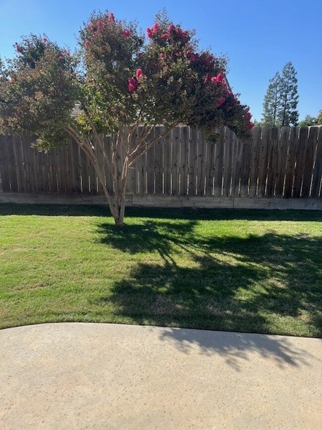 Building Photo - Available Now!