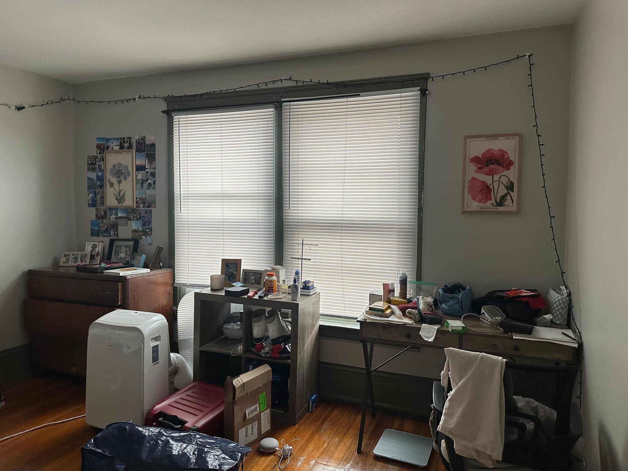 Building Photo - 302 Mitchell St