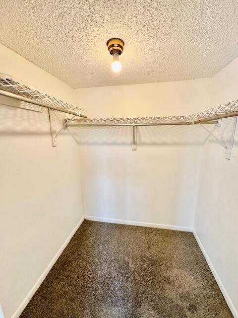 Building Photo - 3300 Spanish Moss Terrace