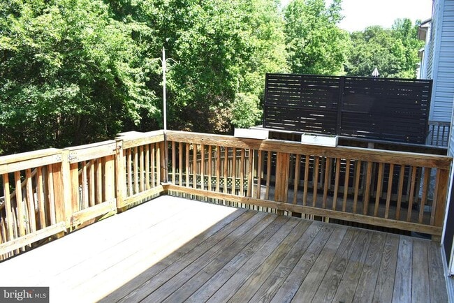 Building Photo - 1302 Arabis Ct