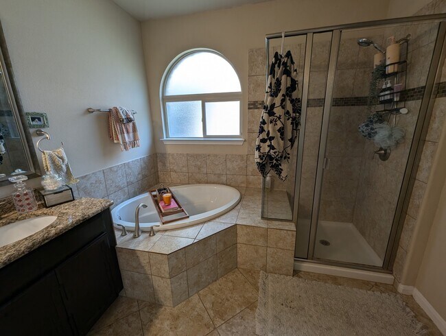 Master bathroom - 2432 Etta May Ln