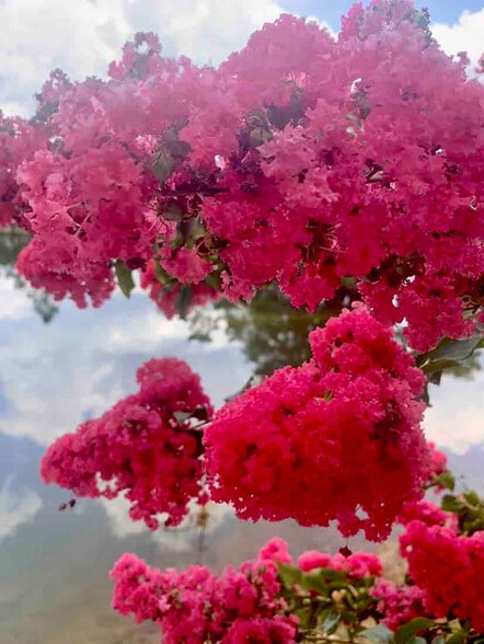 Building Photo - 15076 Audubon Lake Blvd