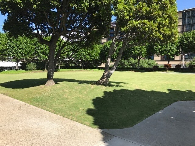Building Photo - 2 Bedroom, 2 Bathroom, 1 Parking (1350 Ala...