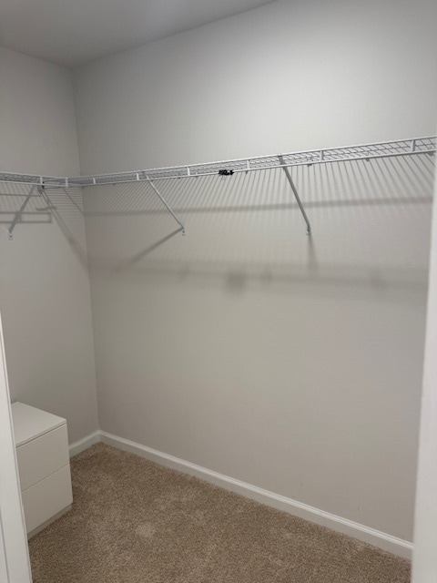 Building Photo - 3215 Josie St