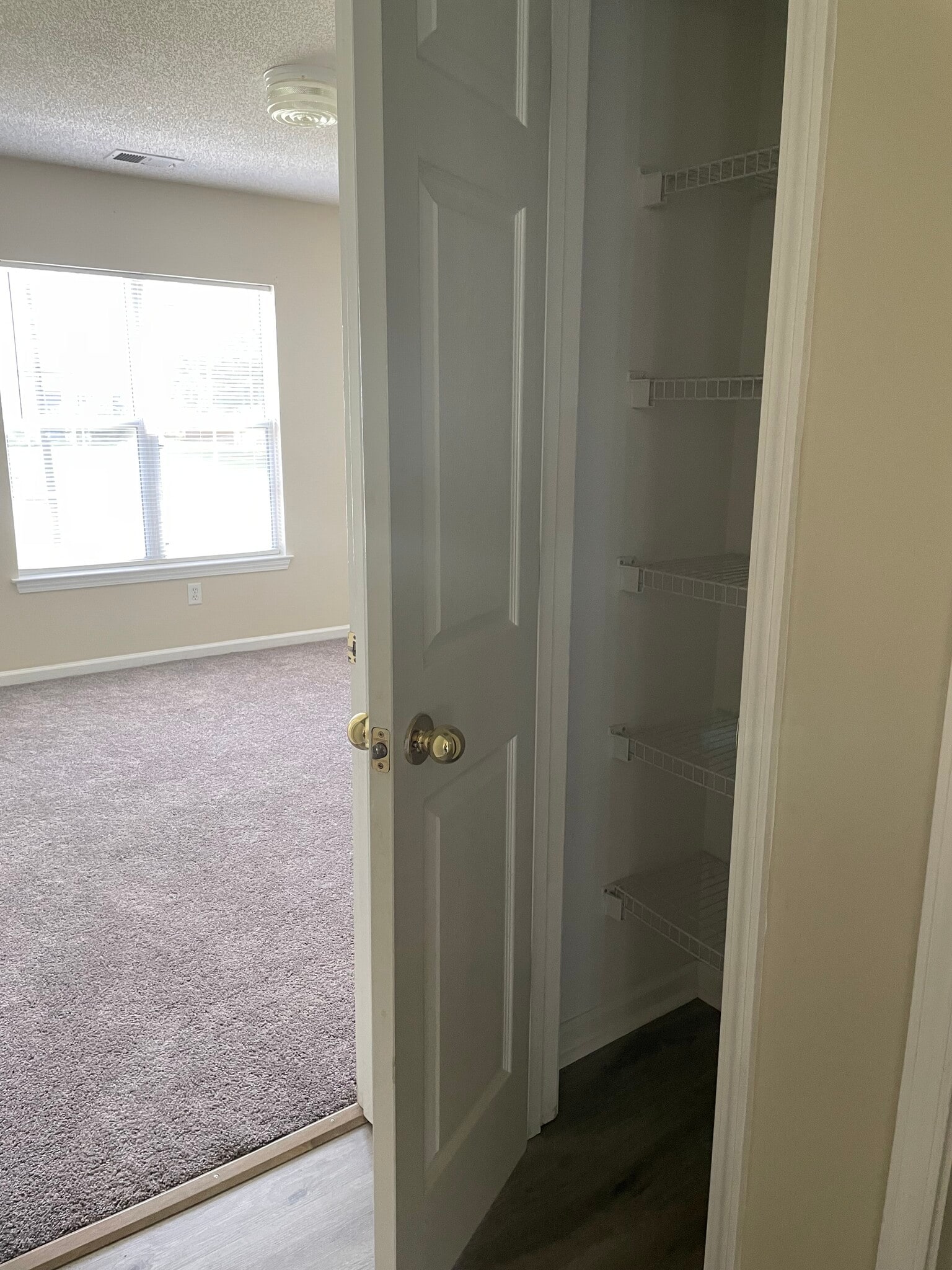 Linen Closet - 1314 Bradley Daniel Blvd