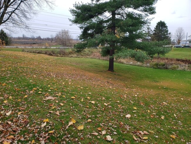 Building Photo - 983 US HWY 11