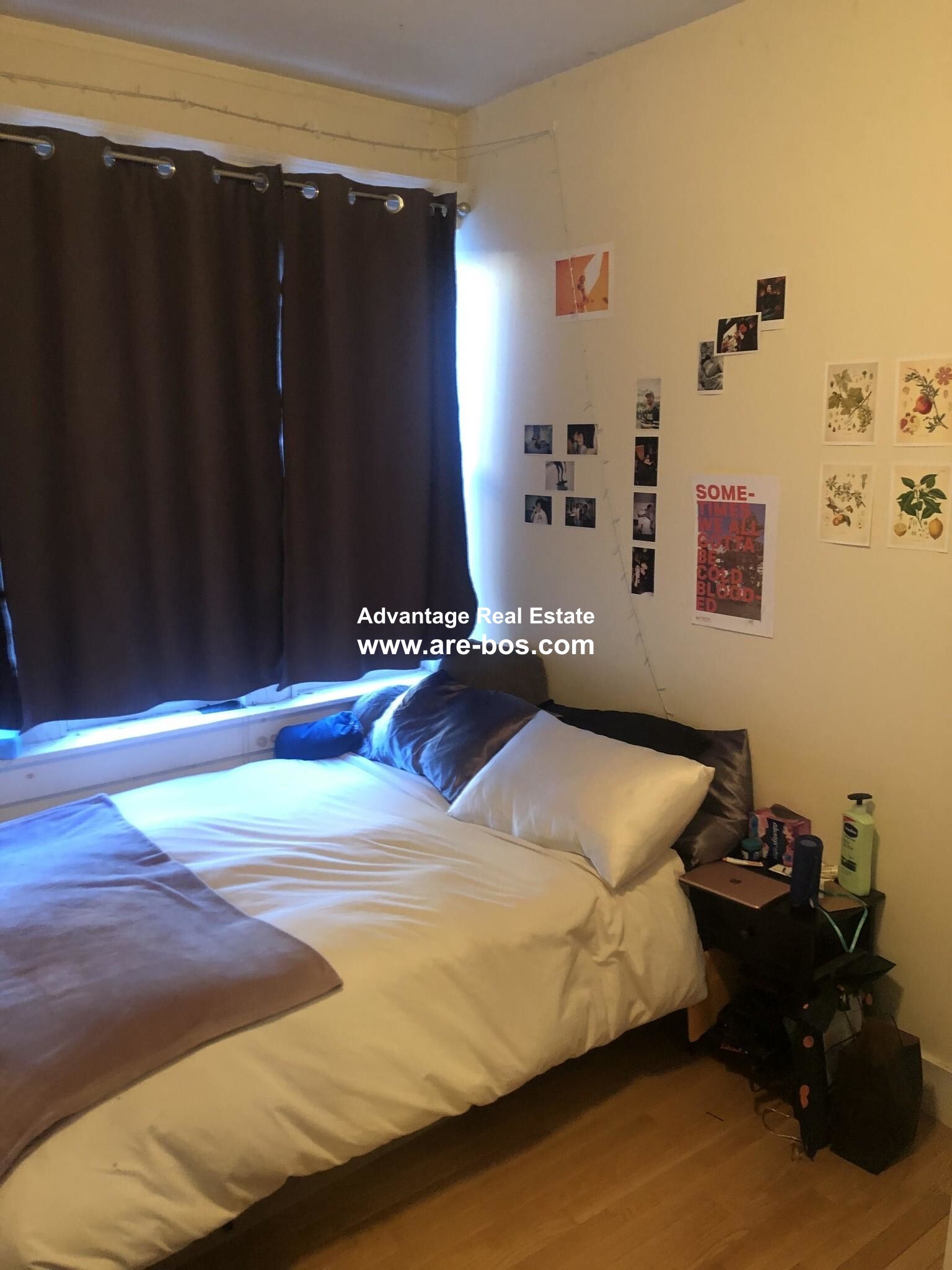 Building Photo - 62 Egmont St