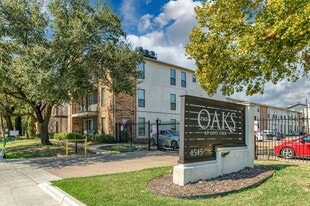 Live Oak Street View - The Oaks