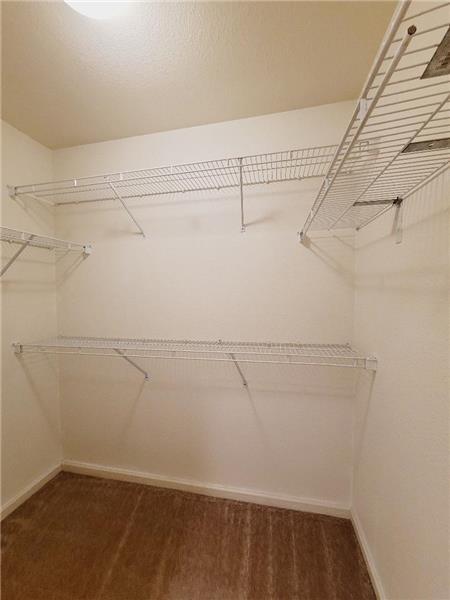 Building Photo - 4504 Muledeer Ct