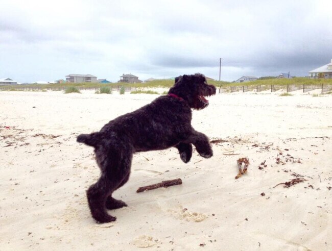 Building Photo - 1748 Malone Ln