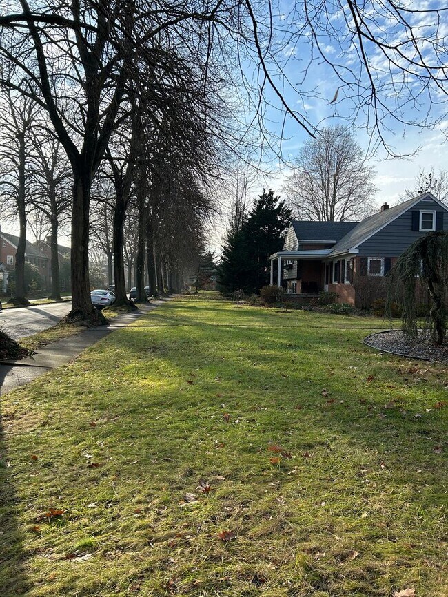 Building Photo - Wyomissing Schools Rental