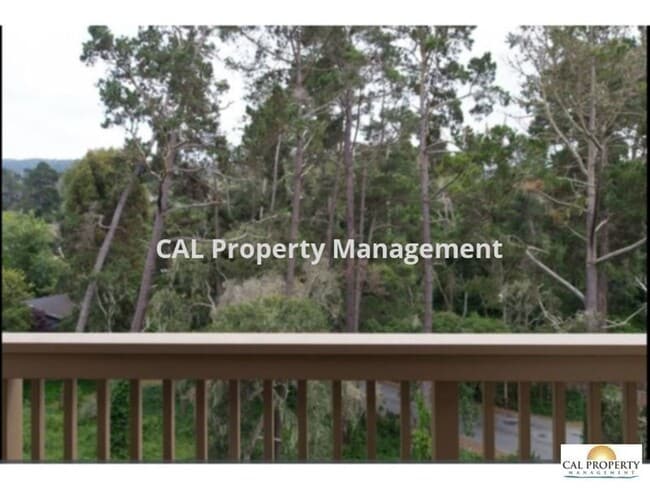 Building Photo - Stunning 2 Bed/2 Bath Condo Located in Mon...