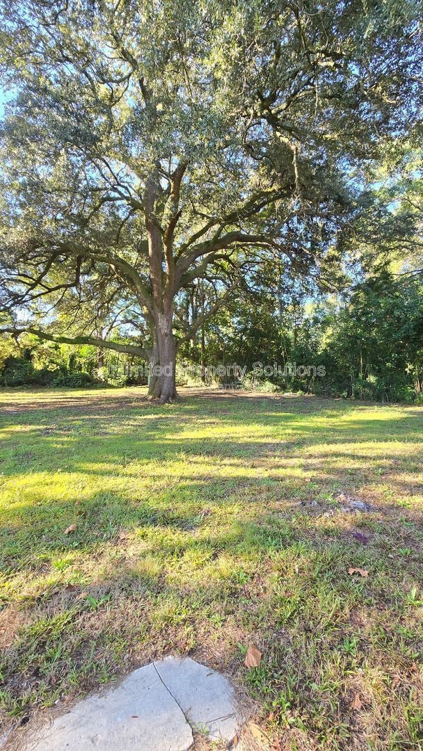 Building Photo - 4936 Wrightsville Ave