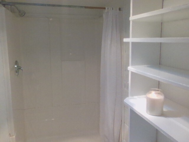 Shower room and shleving - 102 W College St