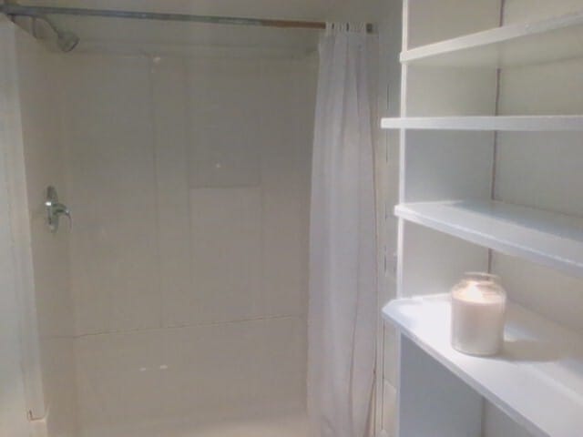 Shower room and shleving - 102 W College St