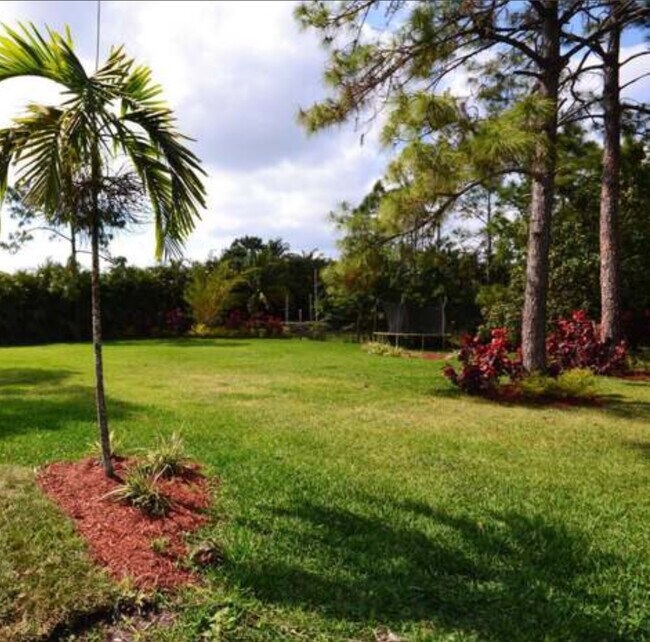 One acre land - 17569 89th Pl N