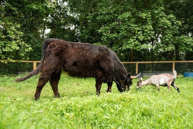 Building Photo - 728 S McCollum Dr