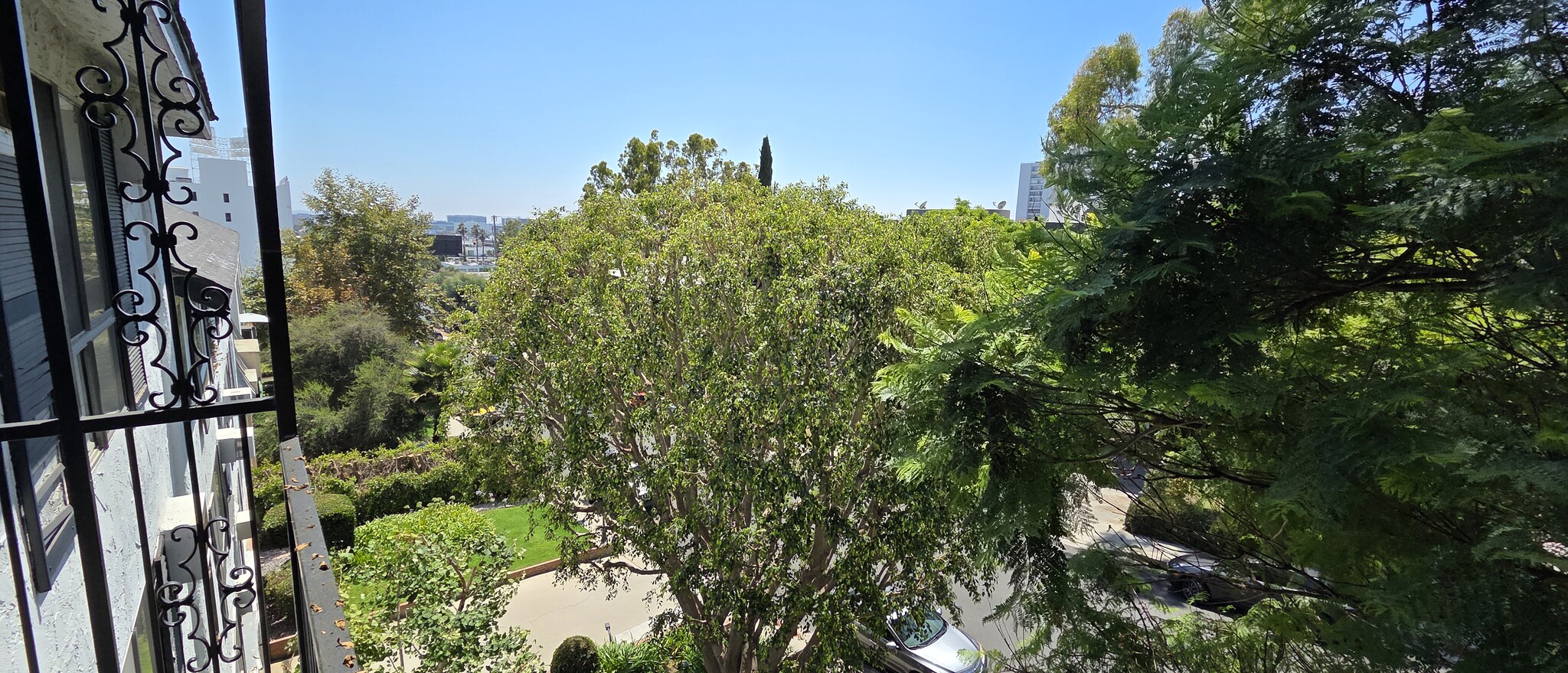 View from windows - 1222 N Olive Dr