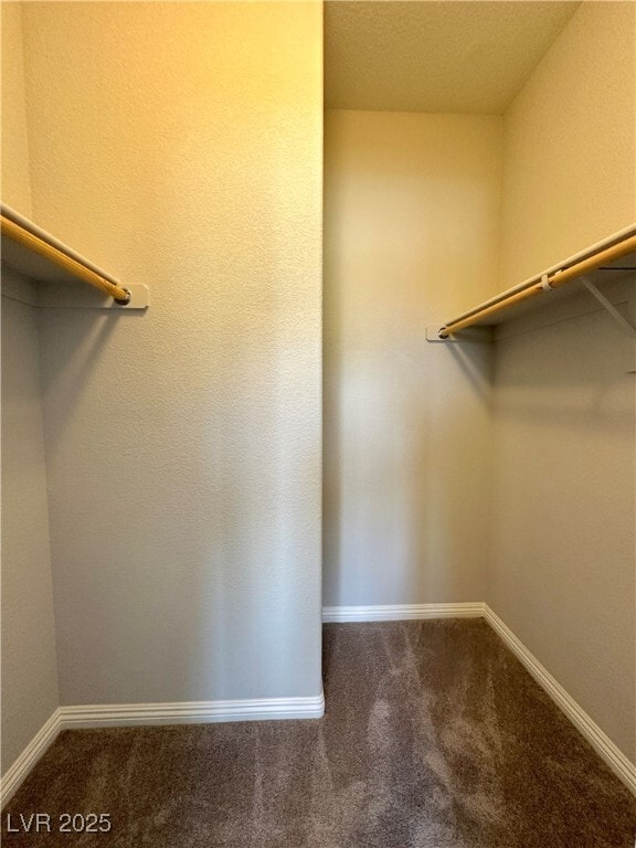 Building Photo - 2877 Glass Vine Ct