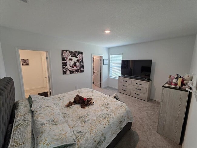 Building Photo - 559 Wayland Dr