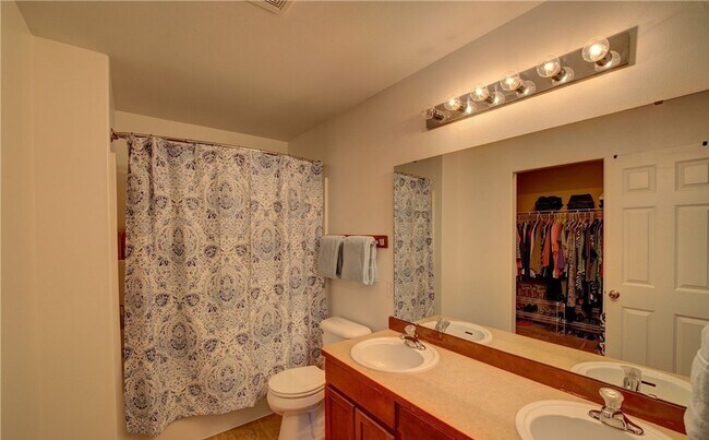 Building Photo - Beautiful 3 bed Home in Country Woods!