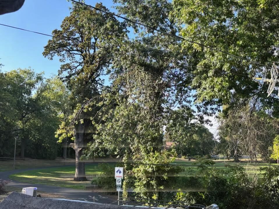 Willamette Park & the Greenway Trail are right down the front steps. - 7356 S Miles Pl