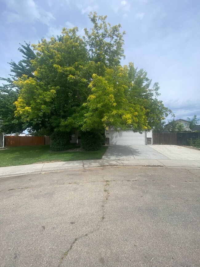 Building Photo - 3 Bed, 2 Bath,  Single Story, CUL-D-SAC Ho...