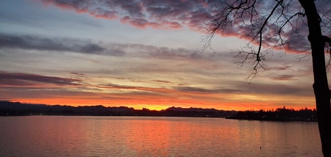 Building Photo - 1611 Vernon Rd