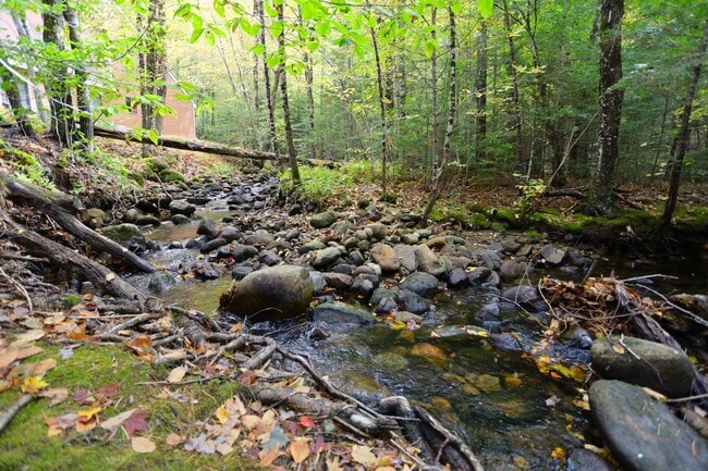 Building Photo - Seasonal 6 Month Lease Available! Charming 2-bedroom, 2-bathroom townhouse at Winterbrook Village